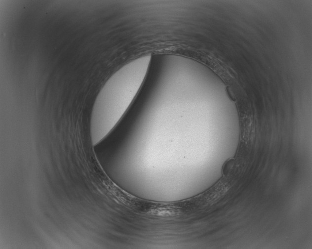 X0000084520655200702230839