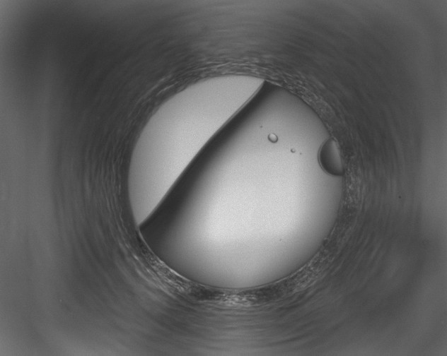 X0000084520656200702230839