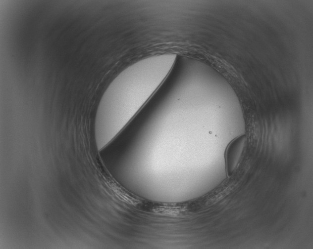 X0000084520661200702230839