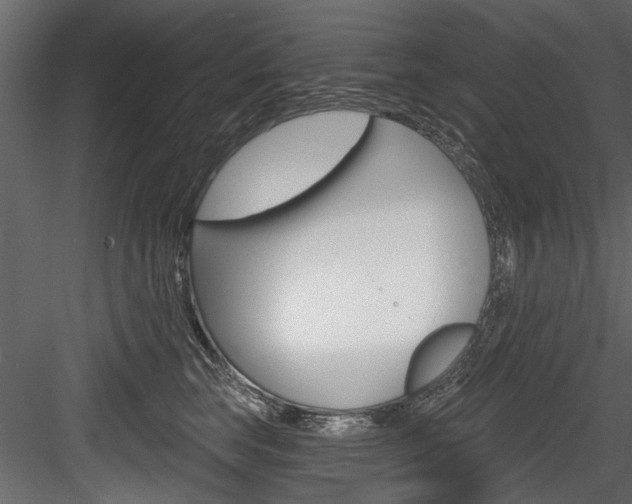 X0000084520663200702230839