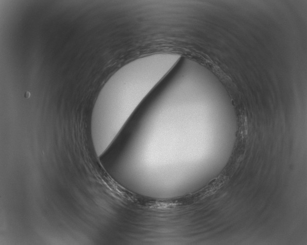 X0000084520664200702230839