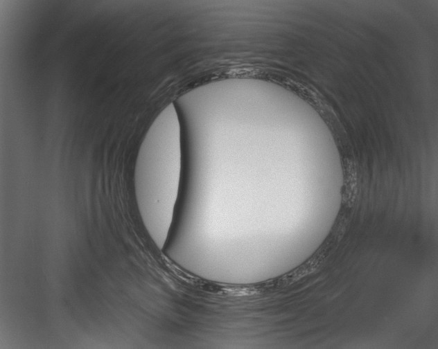 X0000084520667200702230839