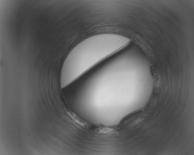 X0000084520669200702230839