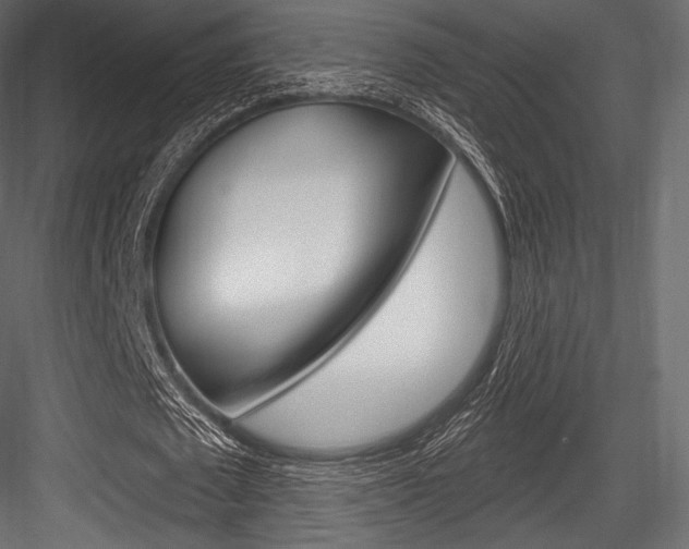 X0000084520673200702230838