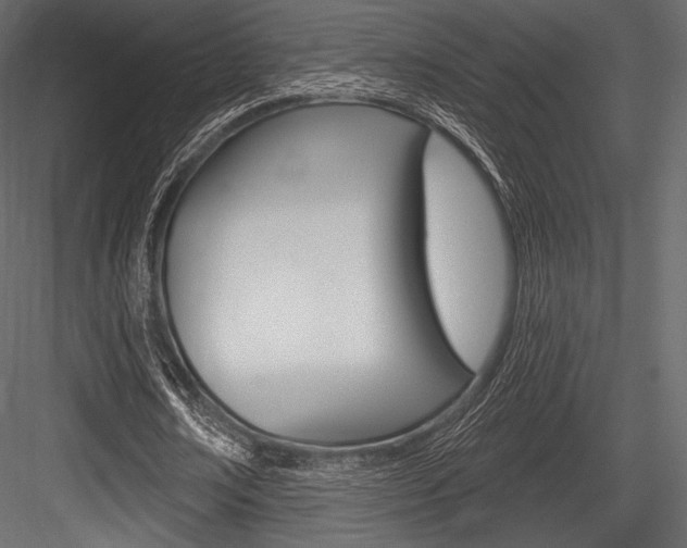 X0000084520674200702230838