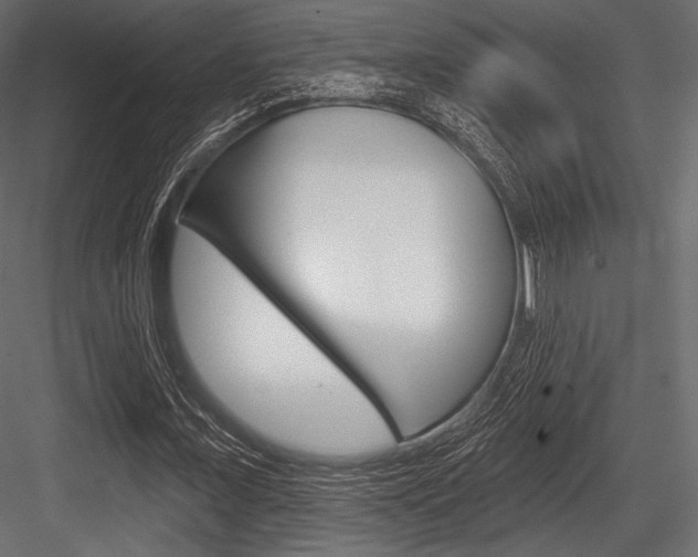 X0000084520675200702230838