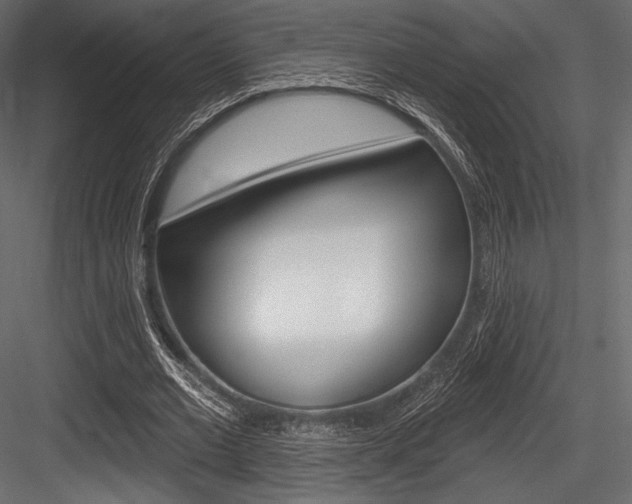 X0000084520677200702230838