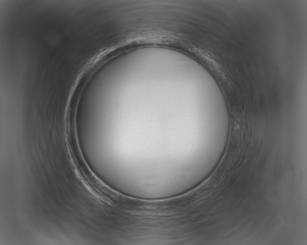 X0000084520678200702230838