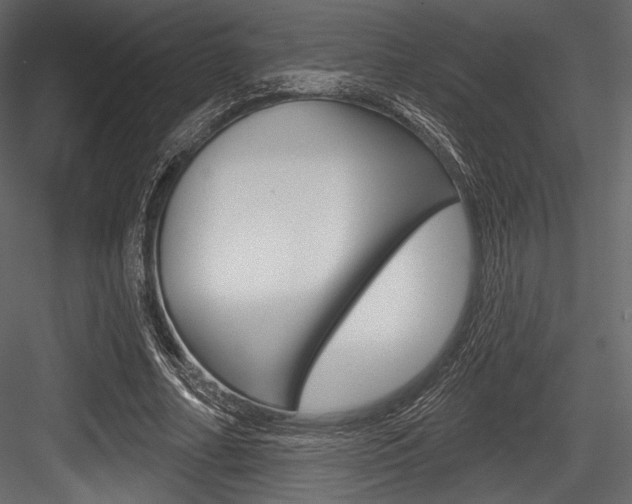 X0000084520682200702230838