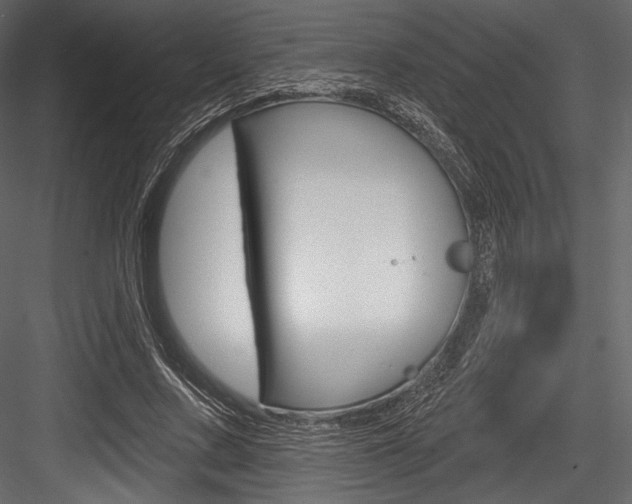X0000084520683200702230838