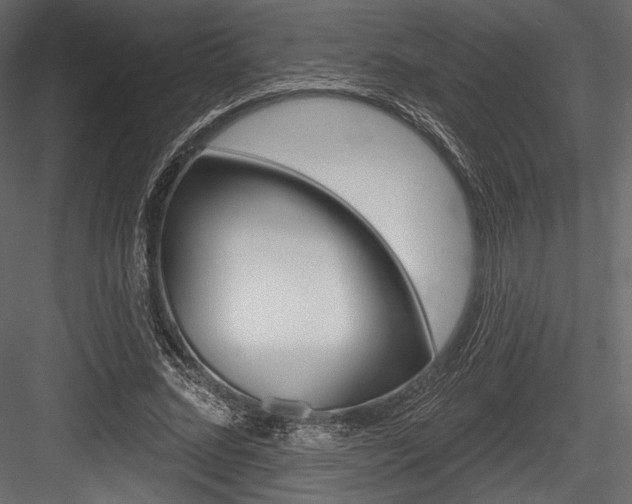 X0000084520684200702230838