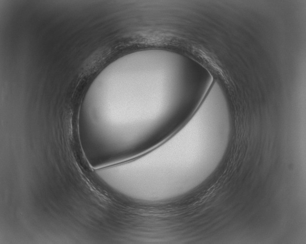 X0000084520685200702230838