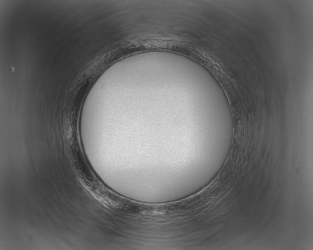X0000084520687200702230838