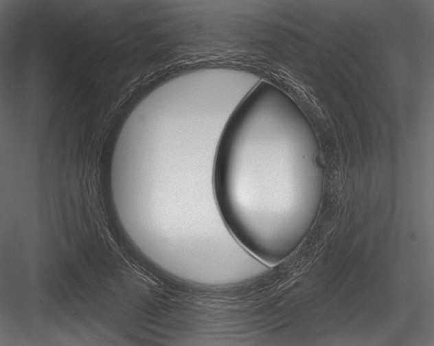 X0000084520689200702230838
