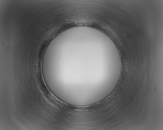 X0000084520690200702230838