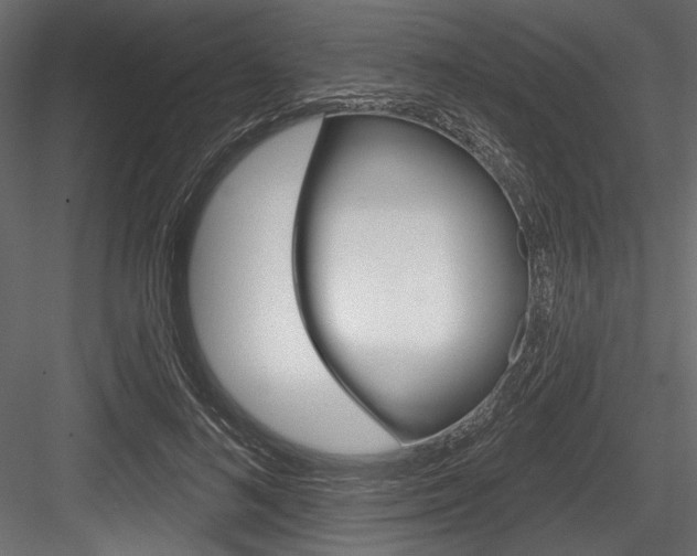 X0000084520692200702230838