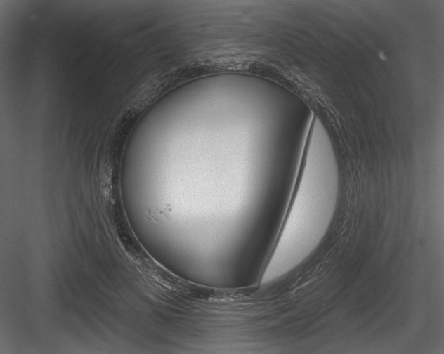 X0000084520693200702230838