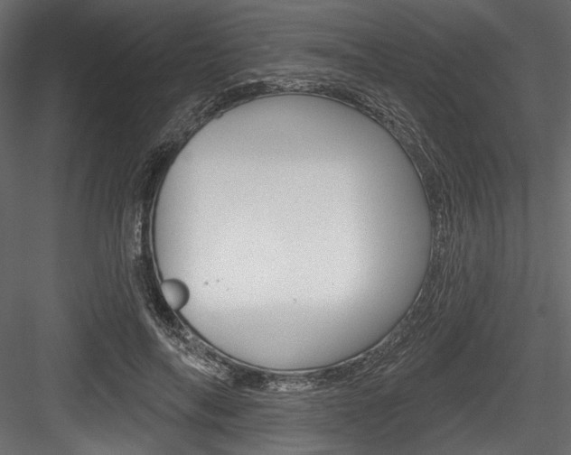 X0000084520694200702230838