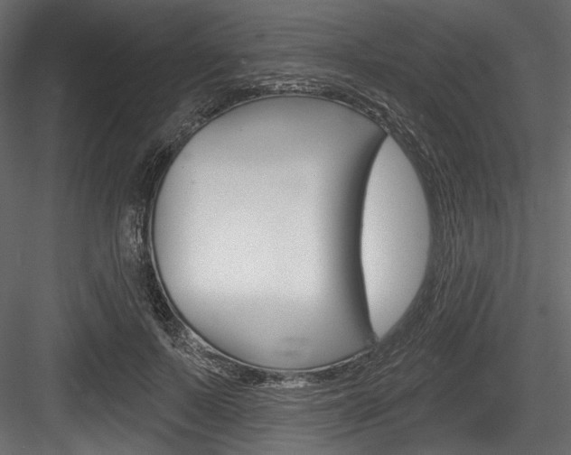 X0000084520695200702230838