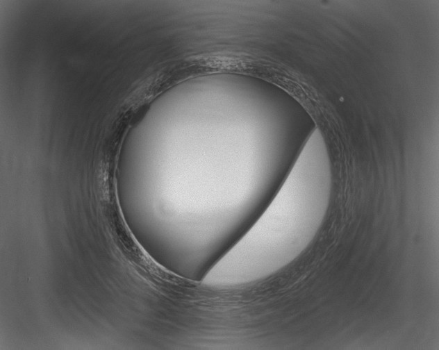 X0000084520696200702230838
