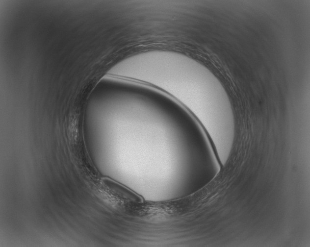 X0000084520697200702230838