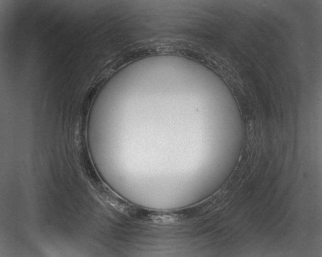 X0000084520698200702230838