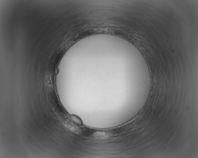 X0000084520699200702230838