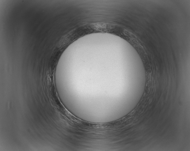 X0000084520702200702230838