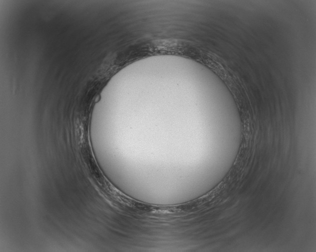X0000084520703200702230838