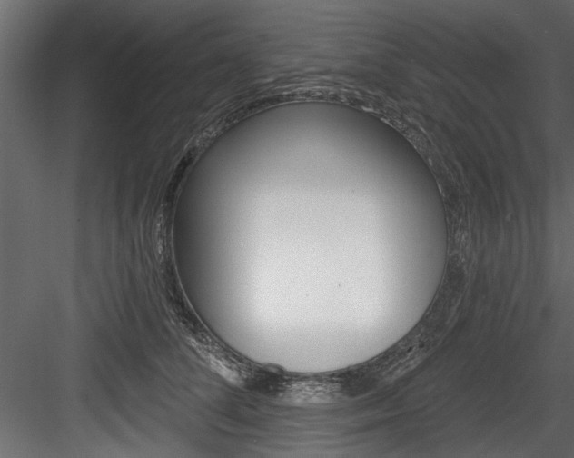 X0000084520708200702230838