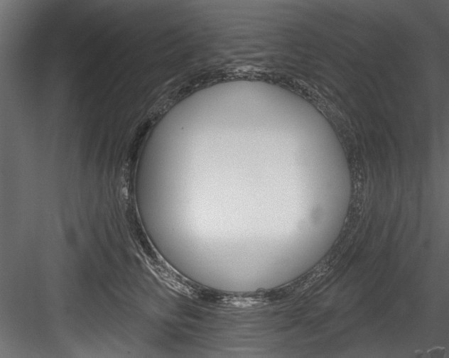 X0000084520710200702230838