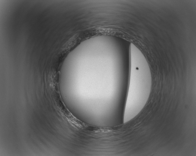 X0000084520712200702230838