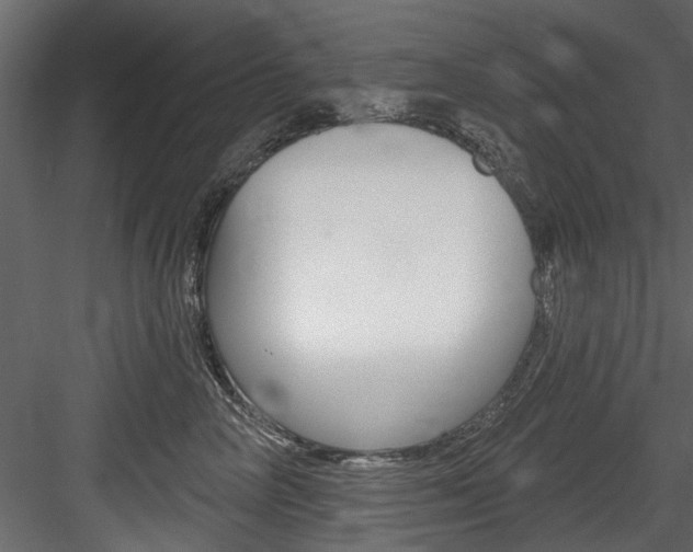 X0000084520714200702230838