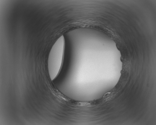X0000084520719200702230838