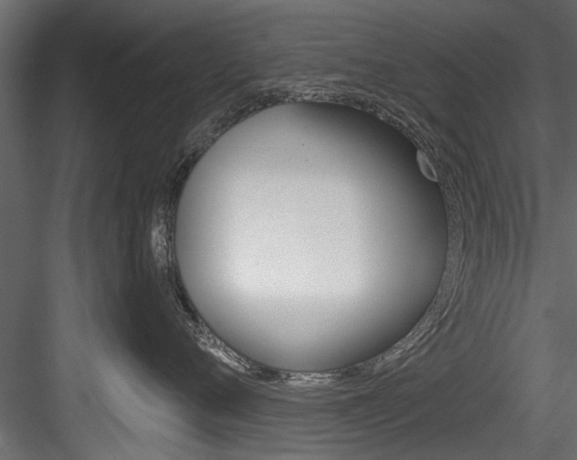 X0000084520720200702230838