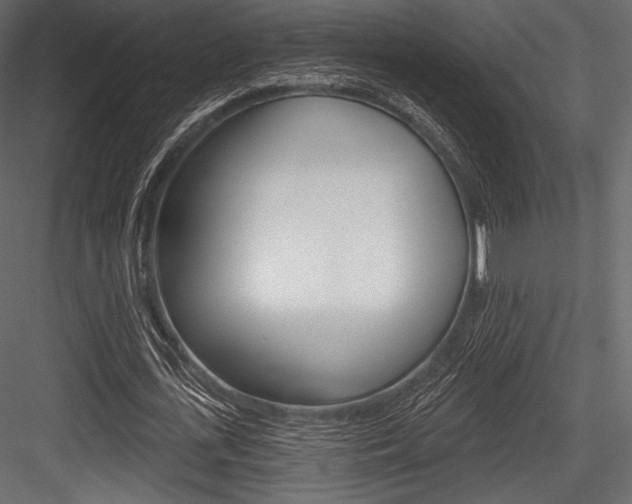 X0000084520723200702230837