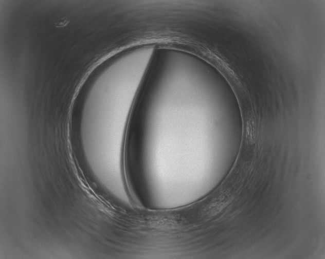 X0000084520724200702230837