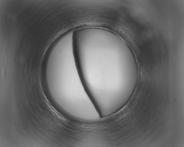 X0000084520725200702230837