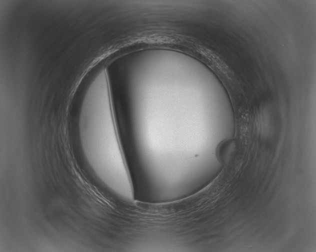 X0000084520727200702230837