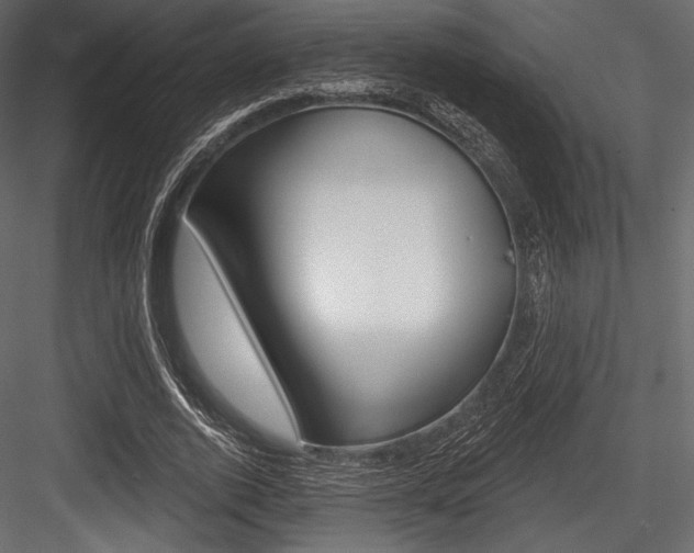 X0000084520728200702230837