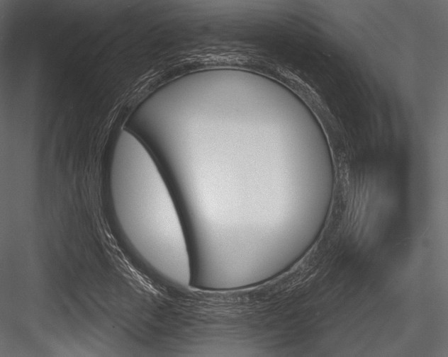 X0000084520729200702230837