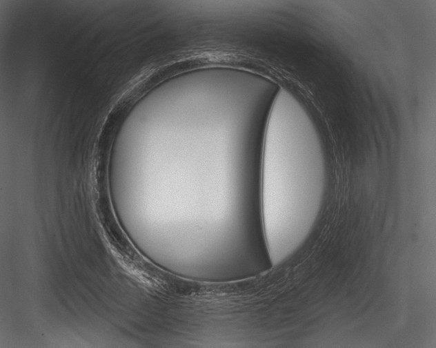 X0000084520730200702230837