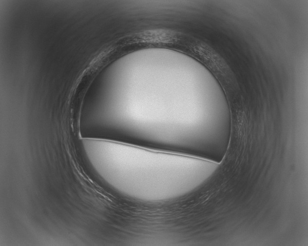 X0000084520731200702230837