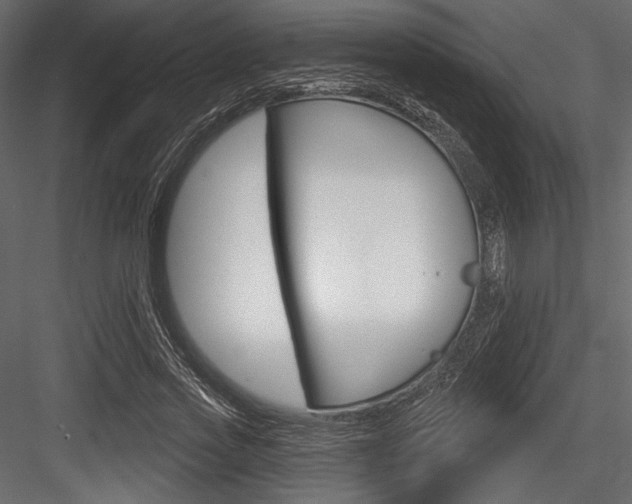 X0000084520733200702230837