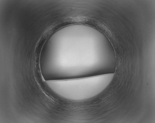 X0000084520736200702230837