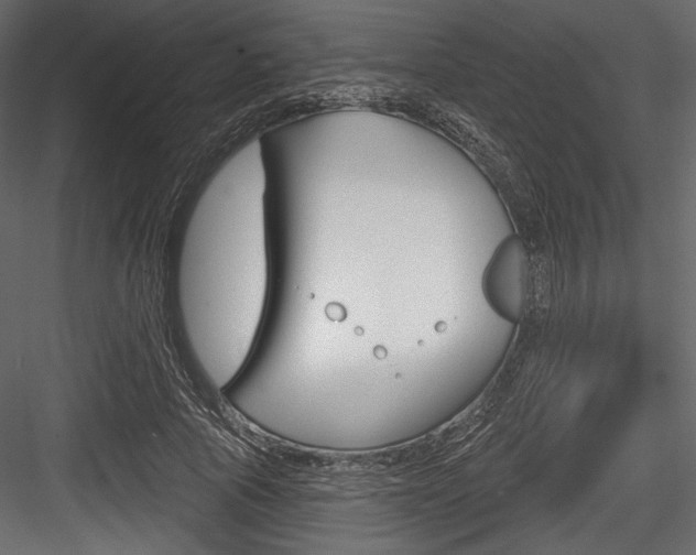 X0000084520737200702230837
