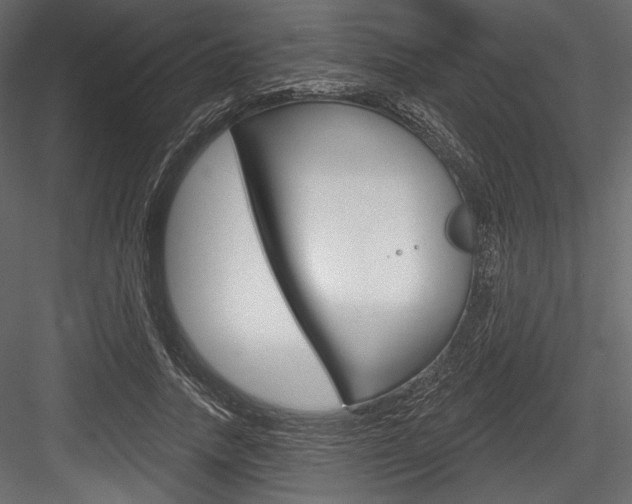 X0000084520738200702230837