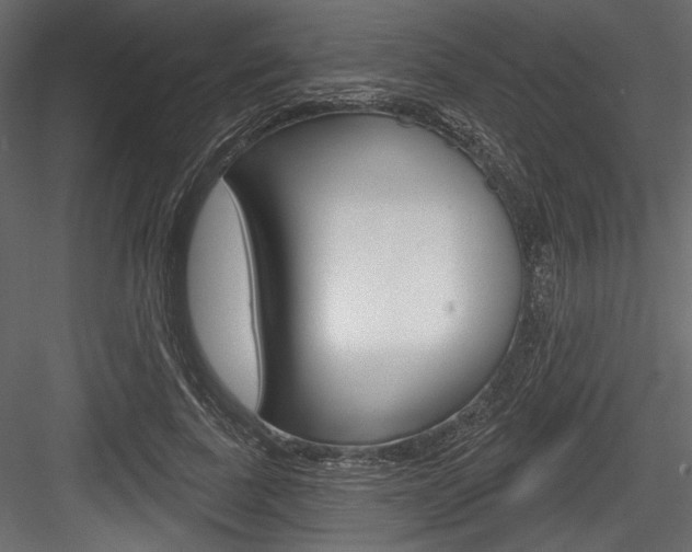 X0000084520739200702230837