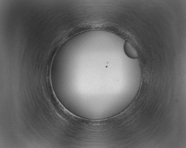 X0000084520740200702230837