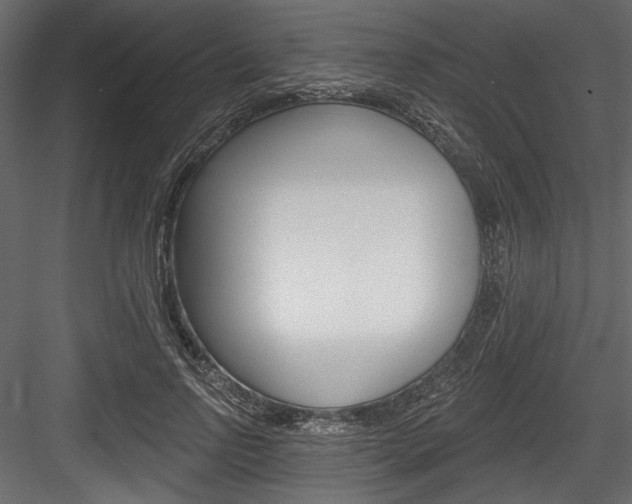 X0000084520742200702230837